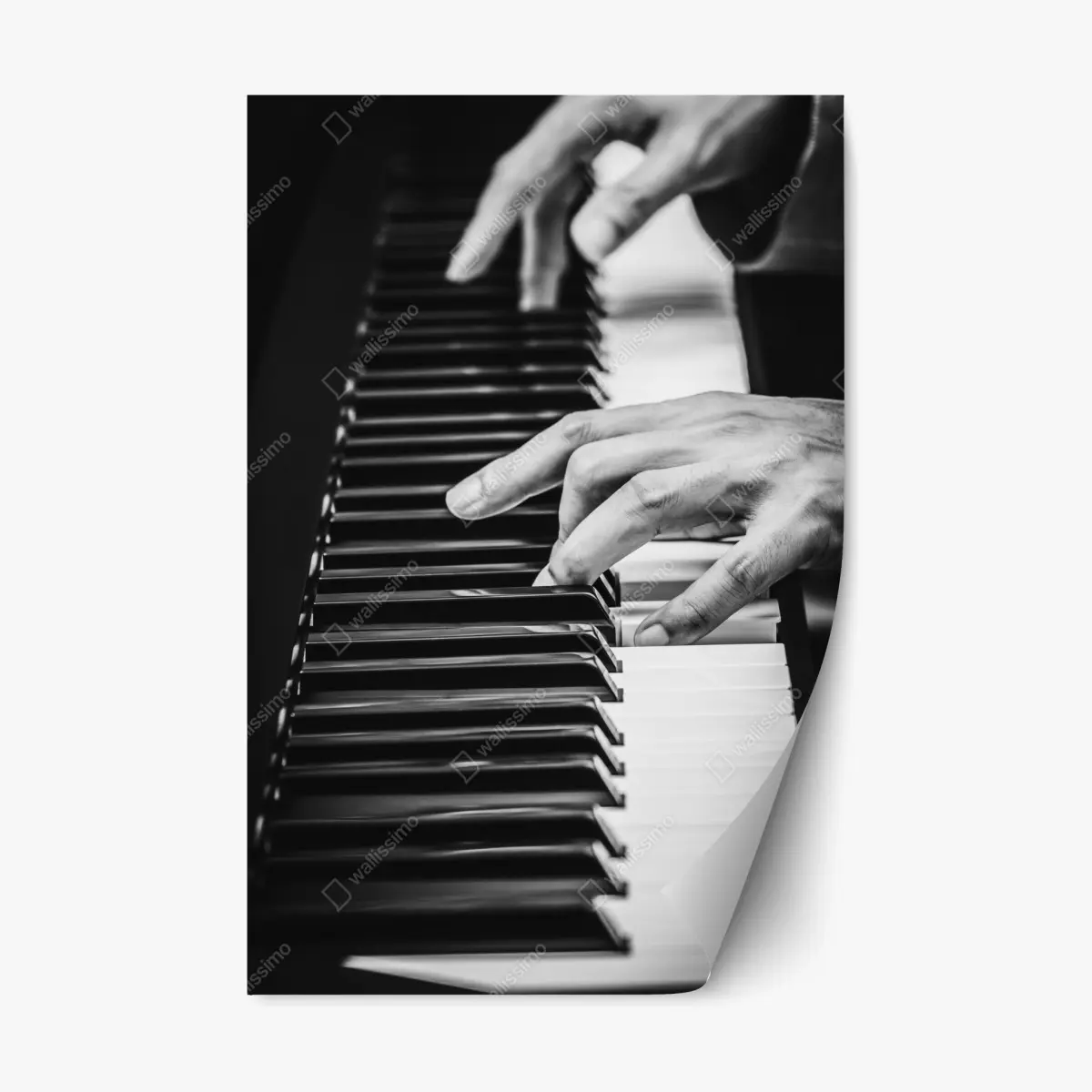 Adesivo riposizionabile mani sul pianoforte in bianco e nero • Wallissimo®