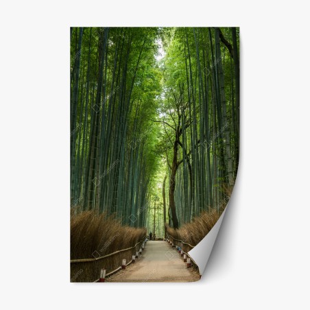 Adesivo riposizionabile sentiero nella foresta di bambù • Wallissimo®