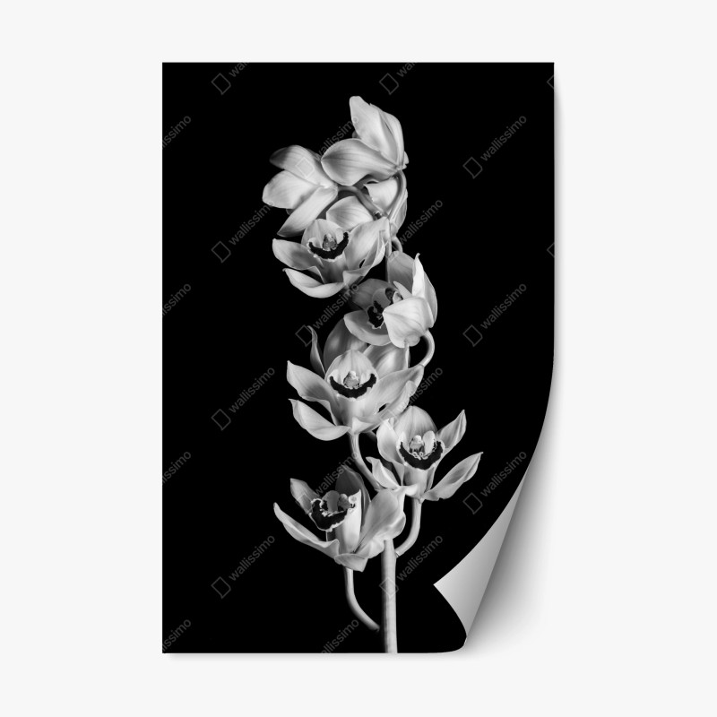 Adesivo riposizionabile eleganza di orchidee in bianco e nero