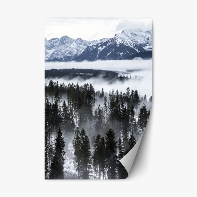 Adesivo riposizionabile nebbia e foreste dei Tatra