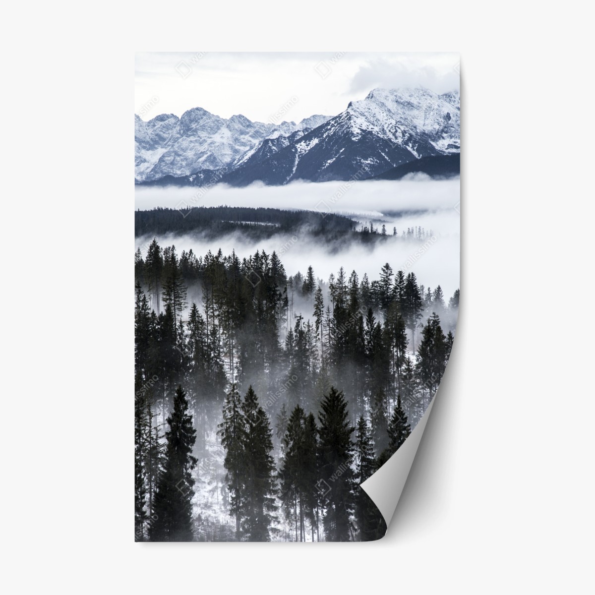 Adesivo riposizionabile nebbia e foreste dei Tatra • Wallissimo®
