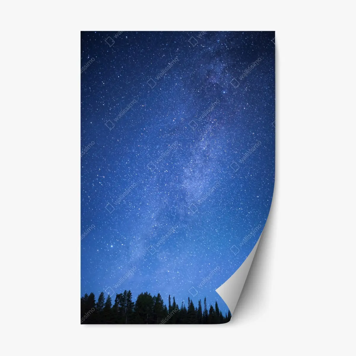 Adesivo riposizionabile notte stellata sulla foresta • Wallissimo®