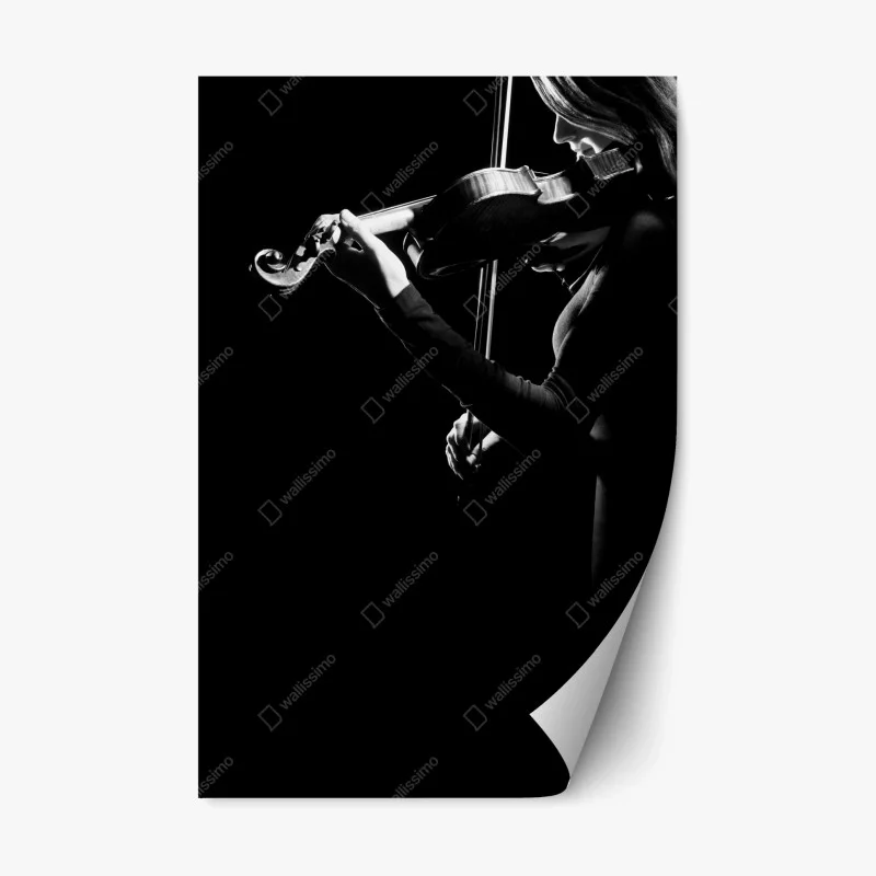 Adesivo riposizionabile violinista in controluce — arte in bianco e nero
