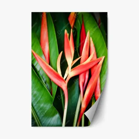 Adesivo riposizionabile vibrazioni tropicali: fiori rossi su foglie verdi • Wallissimo®