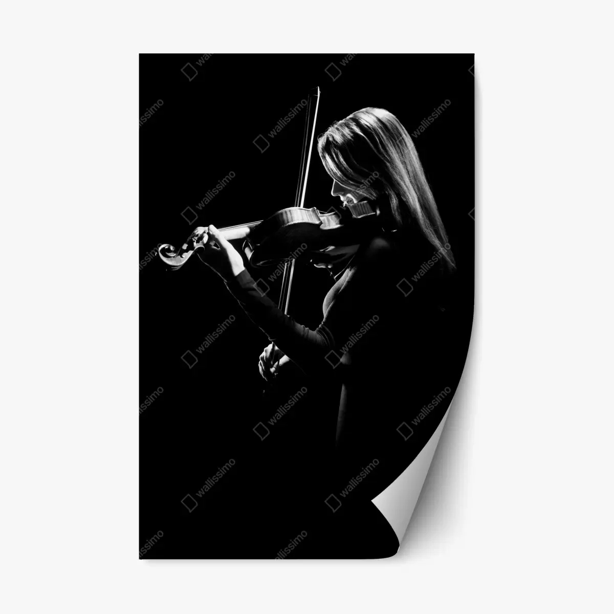 Adesivo riposizionabile violino in controluce • Wallissimo®