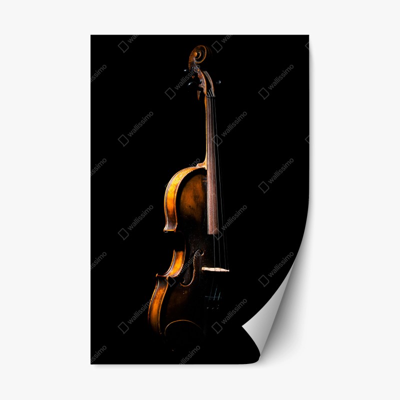 Adesivo riposizionabile violino classico in controluce