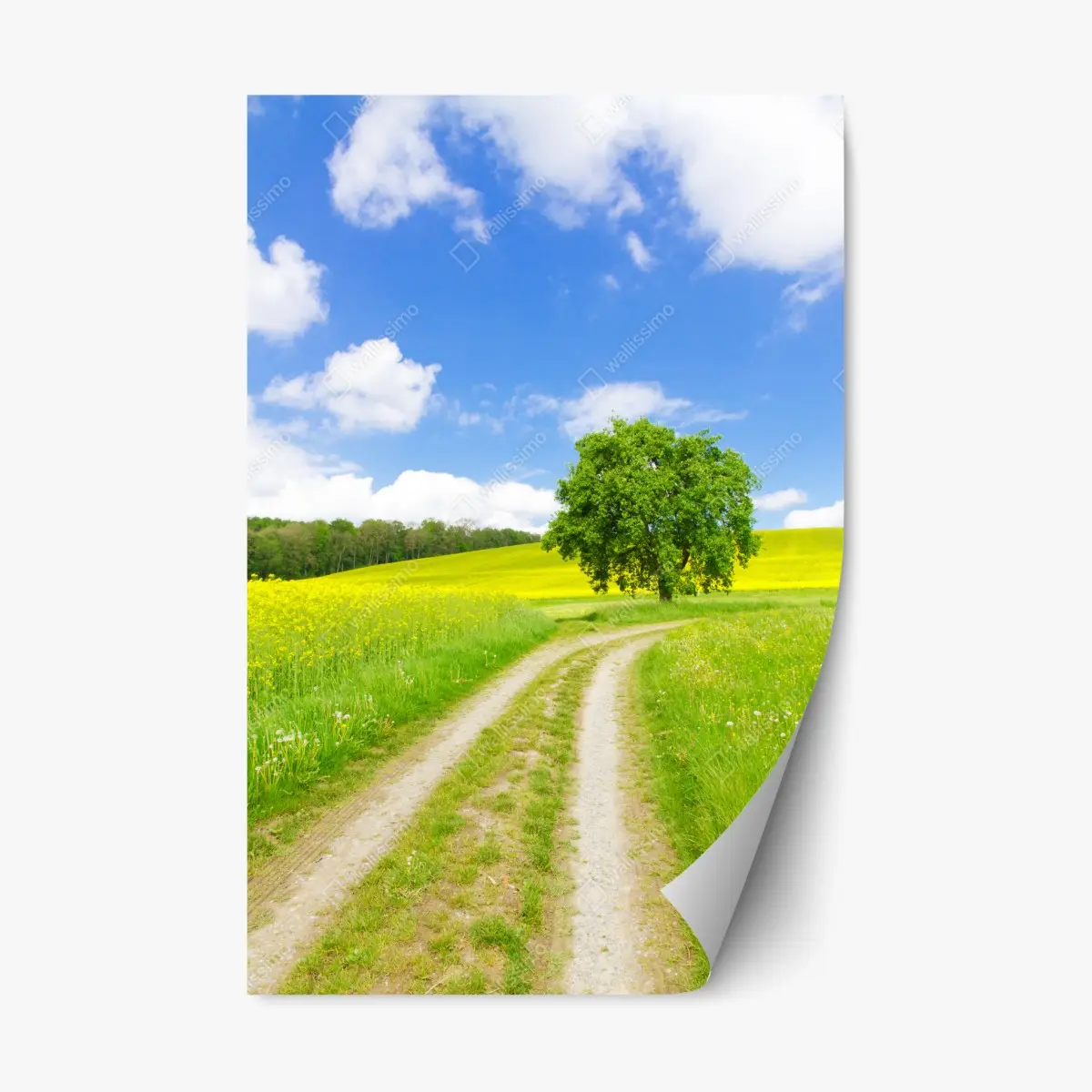 Adesivo riposizionabile paesaggio di campagna con albero solitario • Wallissimo®