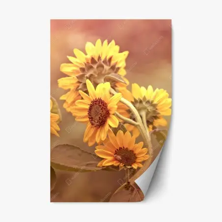 Adesivo riposizionabile girasoli vintage al tramonto • Wallissimo®