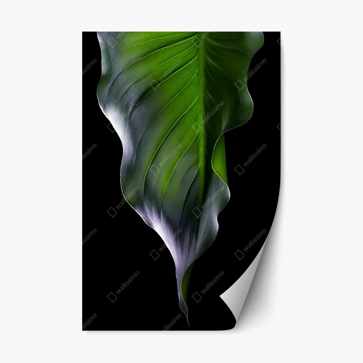Adesivo riposizionabile eleganza della foglia verde • Wallissimo®