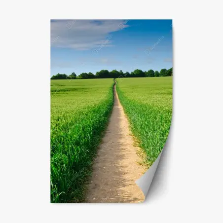 Adesivo riposizionabile sentiero che conduce all'orizzonte nella campagna verde • Wallissimo®