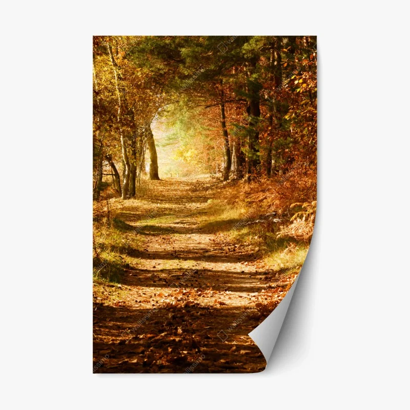 Adesivo riposizionabile sentiero autunnale nel bosco dorato