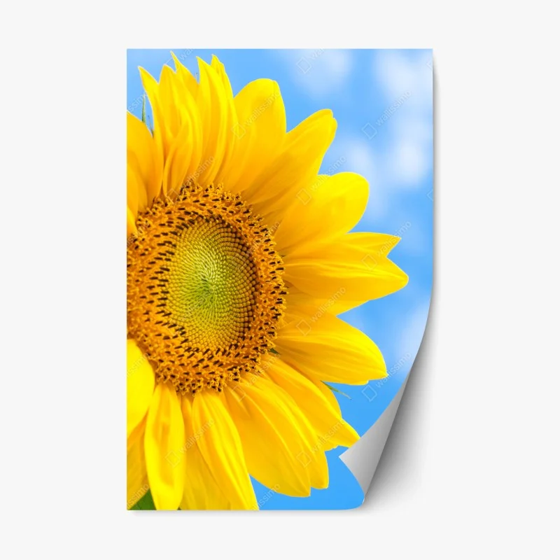 Adesivo riposizionabile girasole brillante su cielo azzurro