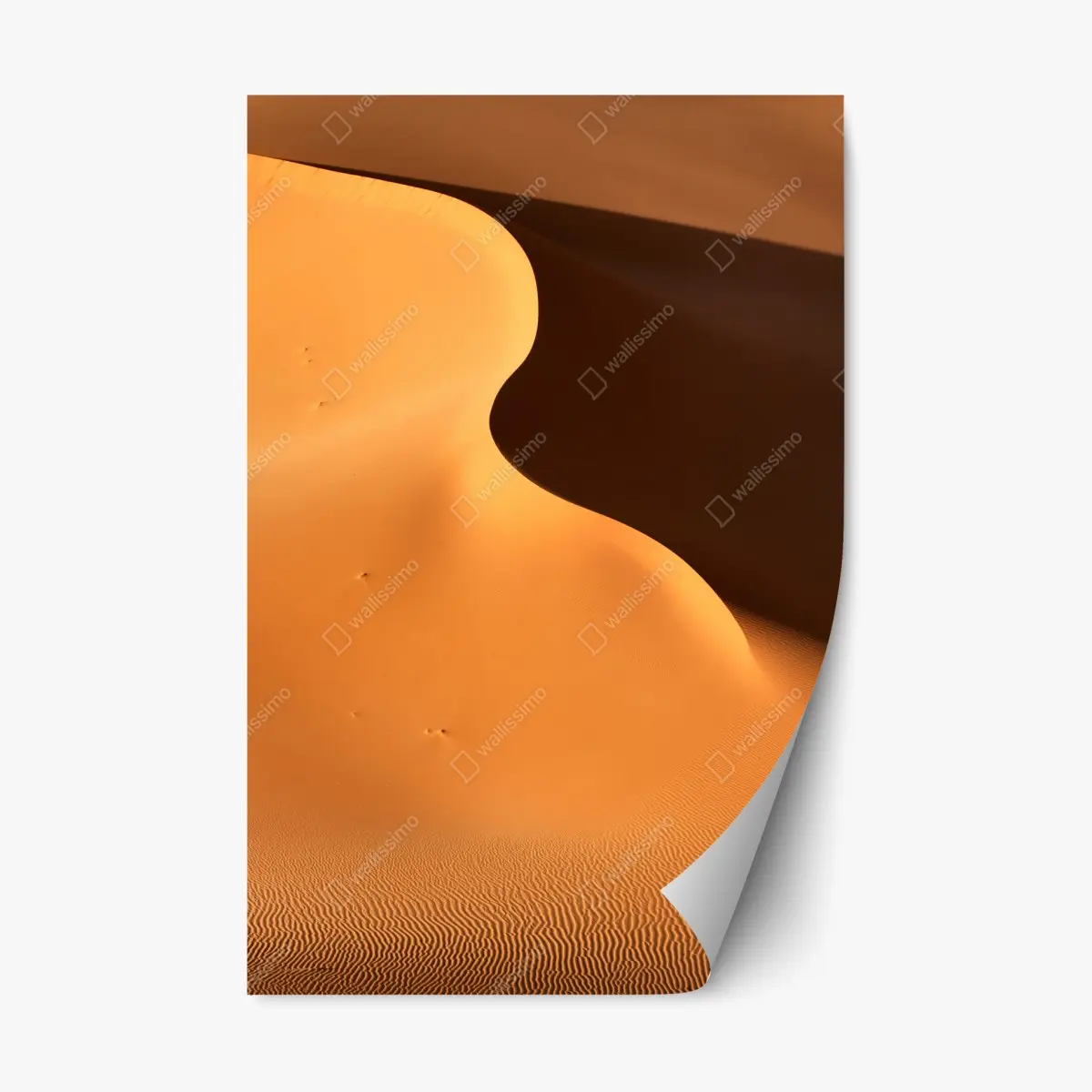 Adesivo riposizionabile curve di dune dorate • Wallissimo®