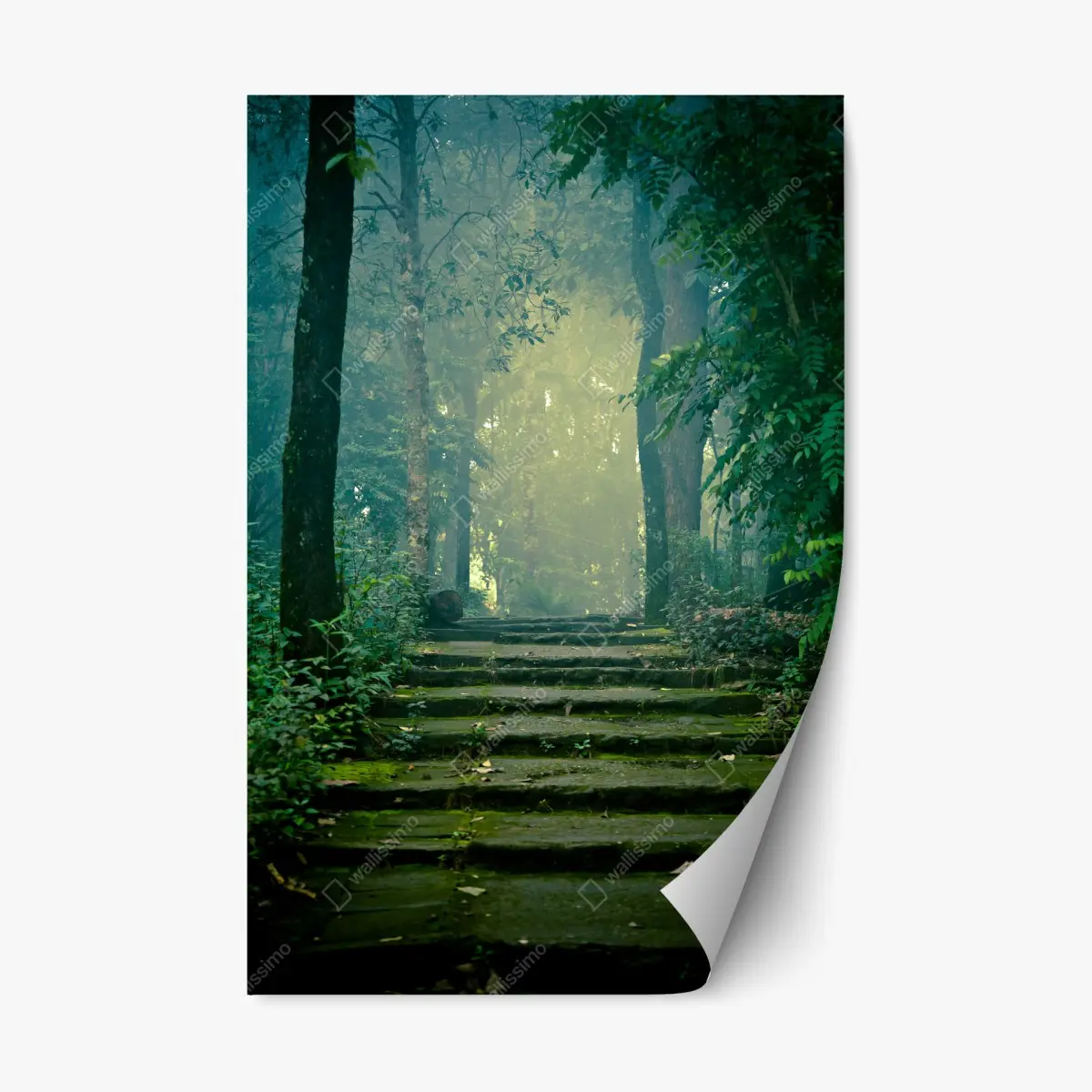 Adesivo riposizionabile sentiero di pietra nella foresta nebbiosa • Wallissimo®
