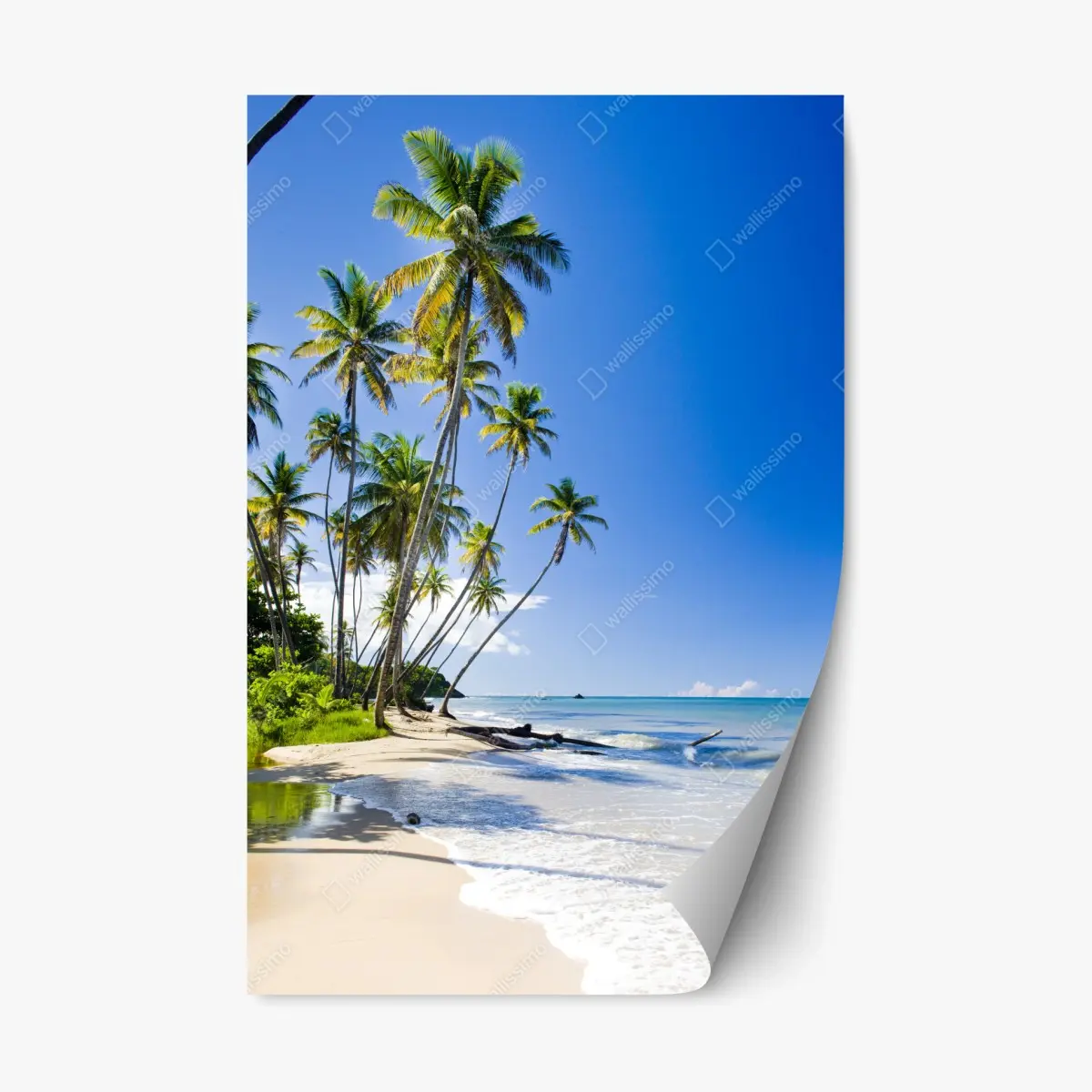 Adesivo riposizionabile oasi tropicale sulla spiaggia • Wallissimo®