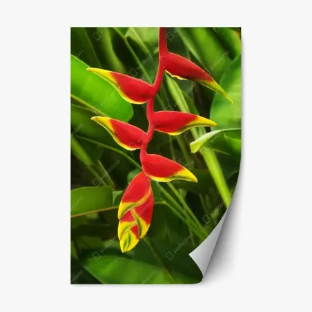 Adesivo riposizionabile eleganza esotica di fiori tropicali su fogliame verde • Wallissimo®