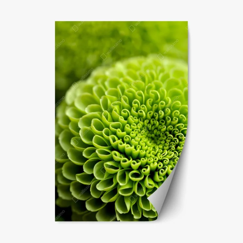 Adesivo riposizionabile mandala floreale verde in macro