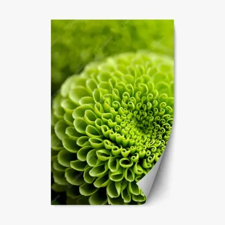 Adesivo riposizionabile mandala floreale verde in macro • Wallissimo®