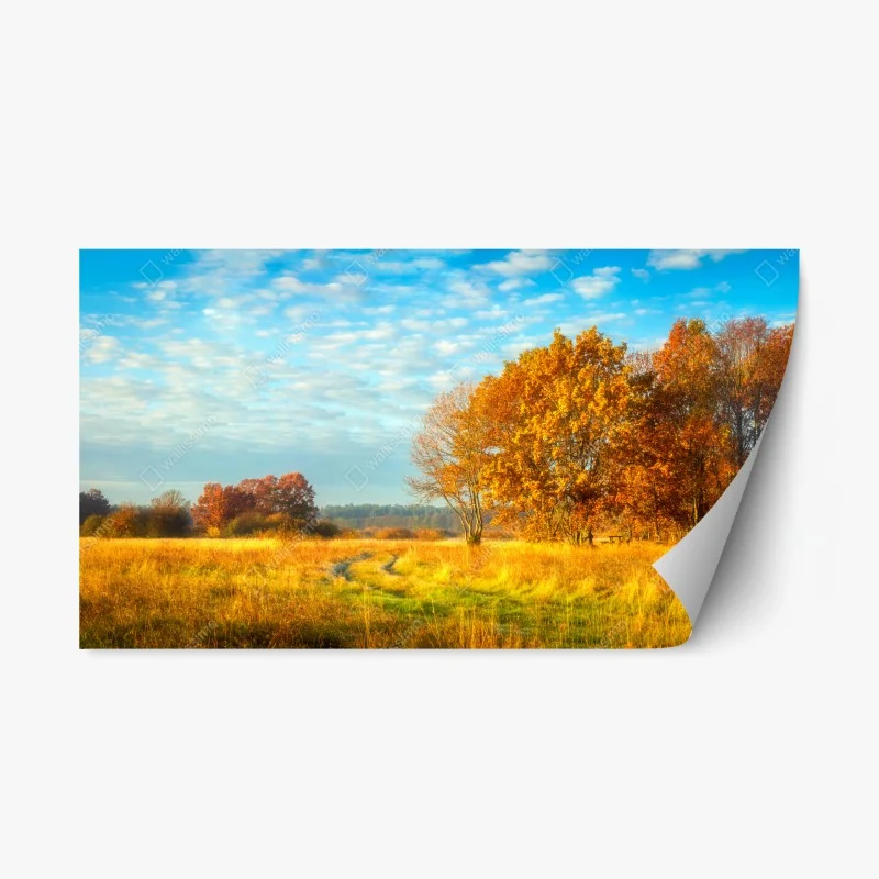 Adesivo riposizionabile mattina d'autunno nel prato dorato