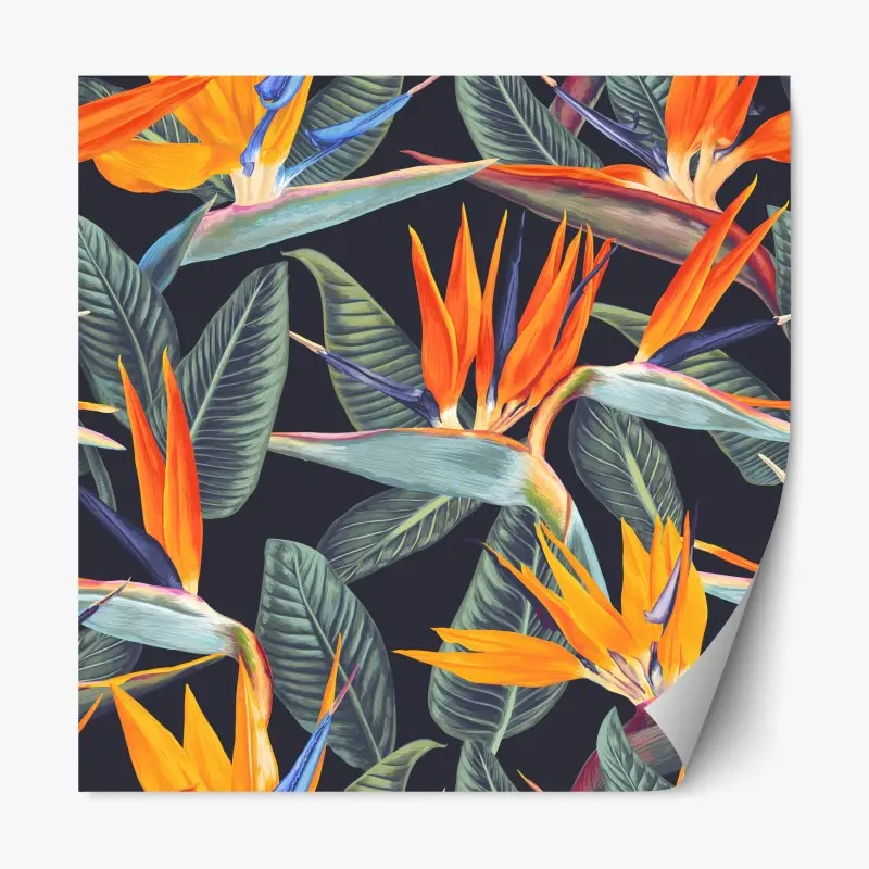 Adesivo riposizionabile motivo tropicale con uccello del paradiso su sfondo scuro • Wallissimo® Adesivo riposizionabile motivo tropicale con uccello del paradiso su sfondo scuro • Wallissimo®