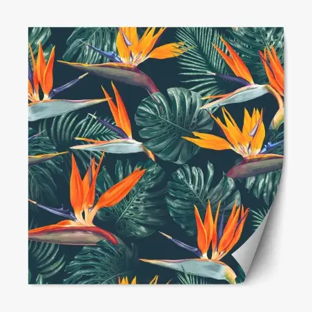 Adesivo riposizionabile tropicale fiori di paradiso e foglie monstera • Wallissimo®