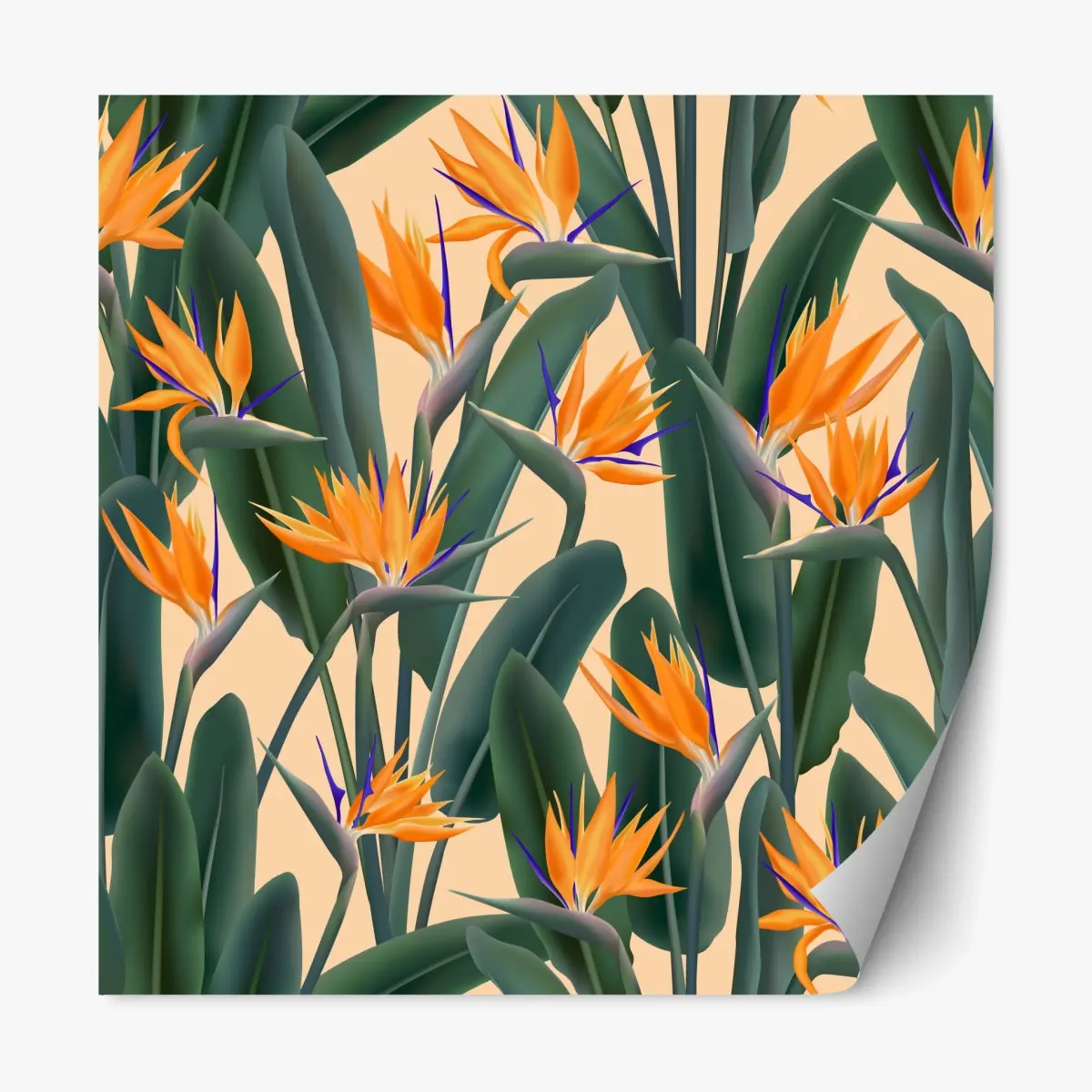Adesivo riposizionabile tropicale elegante con uccelli del paradiso • Wallissimo®