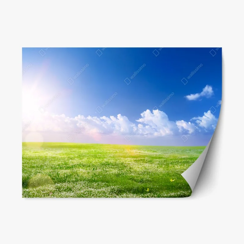 Adesivo riposizionabile prato primaverile sotto il cielo azzurro