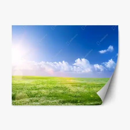 Adesivo riposizionabile prato primaverile sotto il cielo azzurro • Wallissimo®