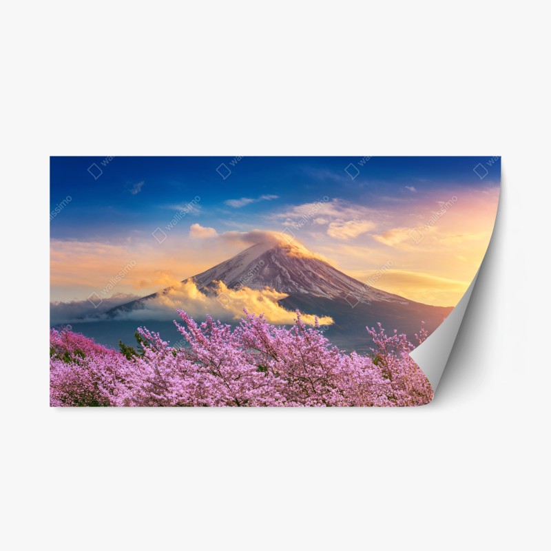 Adesivo riposizionabile risveglio primaverile a Monte Fuji