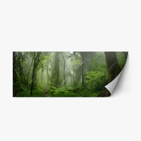 Adesivo riposizionabile foresta pluviale nebbiosa • Wallissimo®