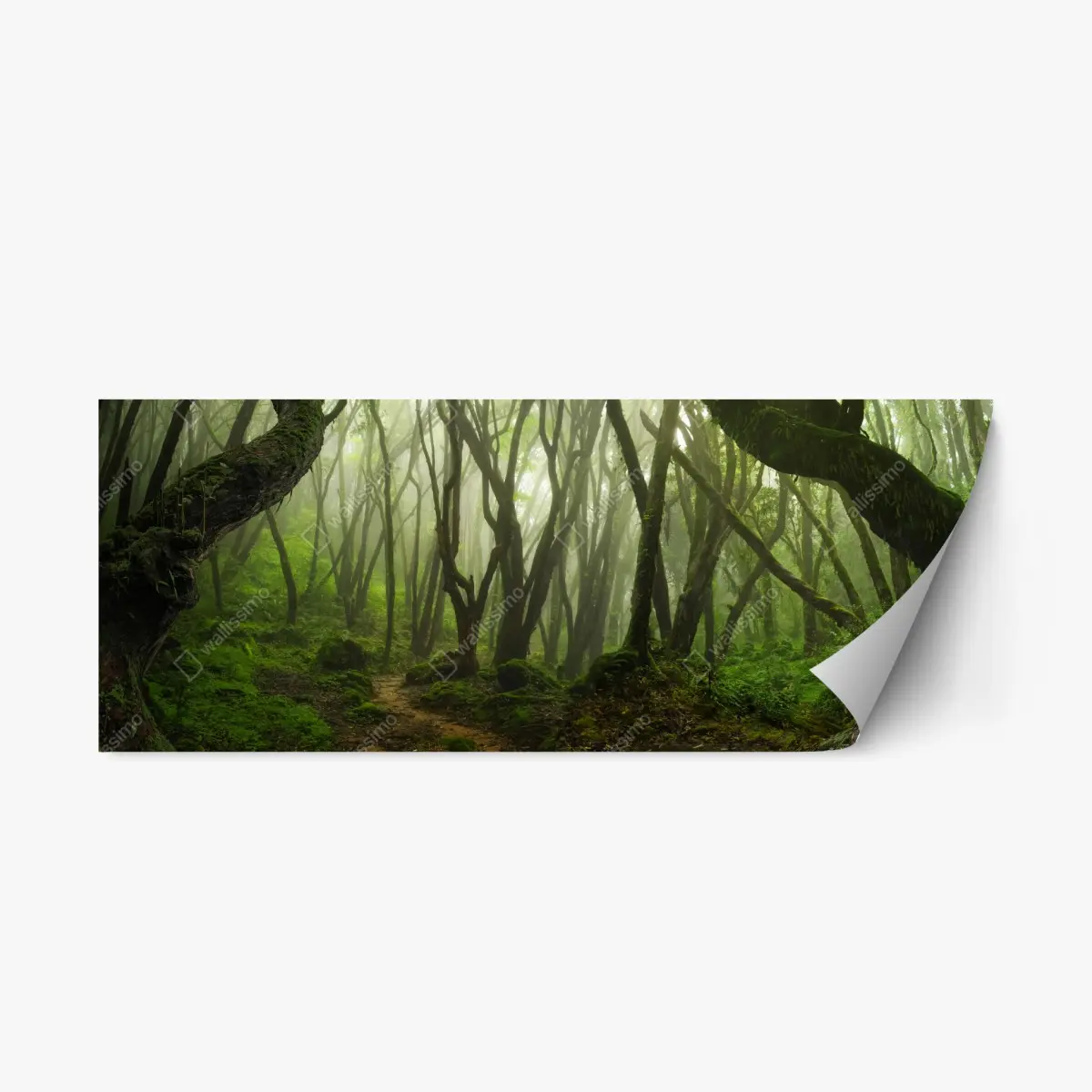 Adesivo riposizionabile foresta incantata nella nebbia • Wallissimo®
