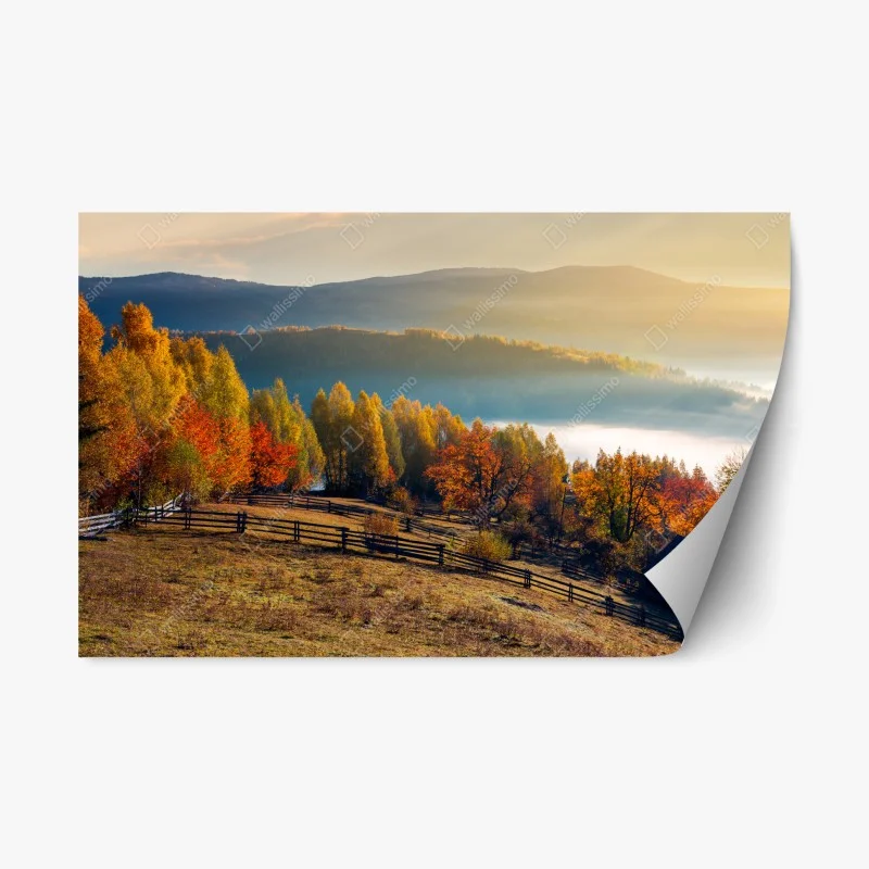 Adesivo riposizionabile mattina d'autunno sulle colline nebbiose
