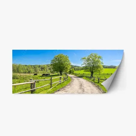 Adesivo riposizionabile paesaggio rurale primaverile con strada sterrata • Wallissimo®