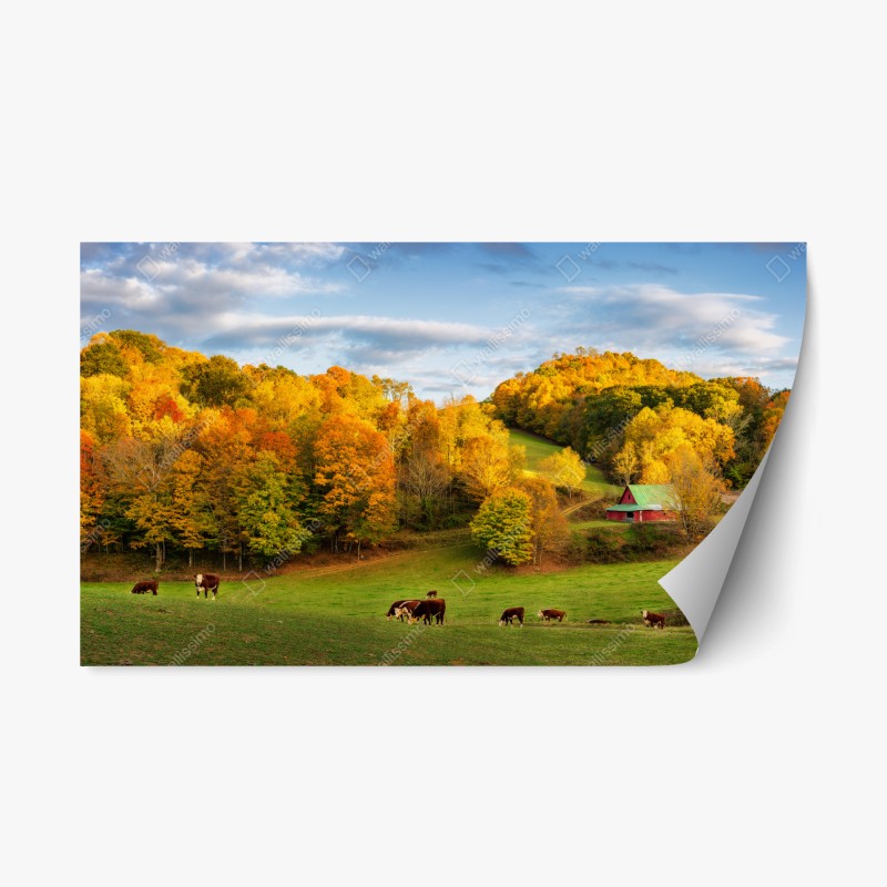 Adesivo riposizionabile valle autunnale con cascina rossa e mucche