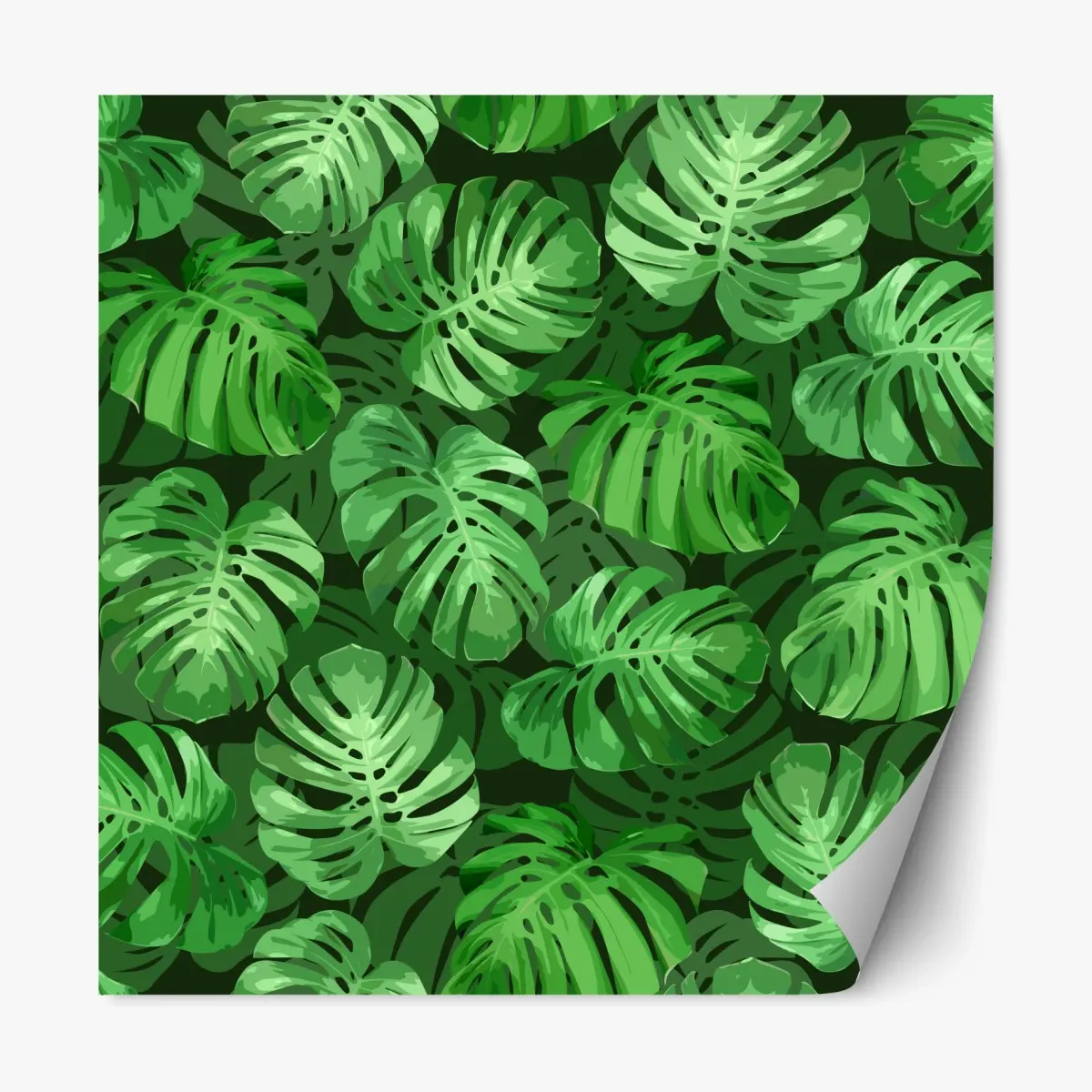 Adesivo riposizionabile motivo tropicale di foglie di monstera • Wallissimo® Adesivo riposizionabile motivo tropicale di foglie di monstera • Wallissimo®