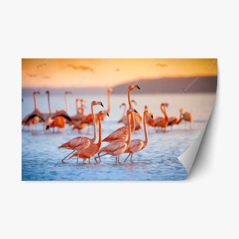 Adesivo riposizionabile eleganza dei fenicotteri al tramonto