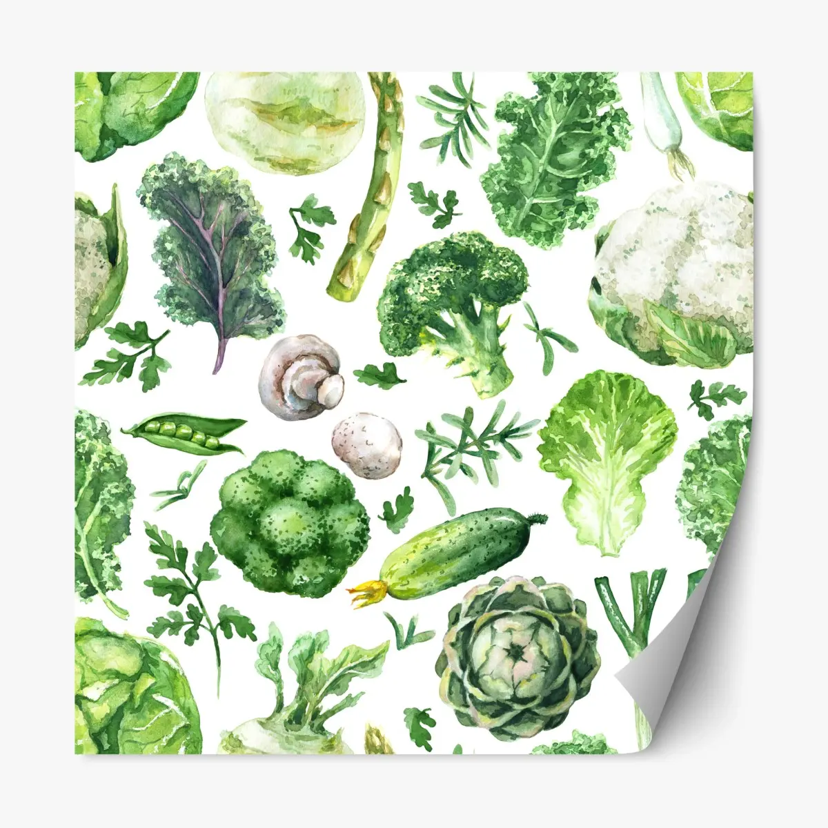 Adesivo riposizionabile motivo botanico di verdure acquerellate • Wallissimo®