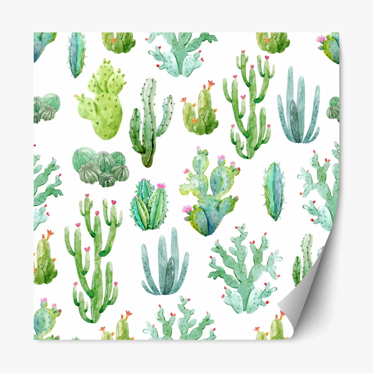 Adesivo riposizionabile motivo botanico di cactus acquerellati • Wallissimo® Adesivo riposizionabile motivo botanico di cactus acquerellati • Wallissimo®