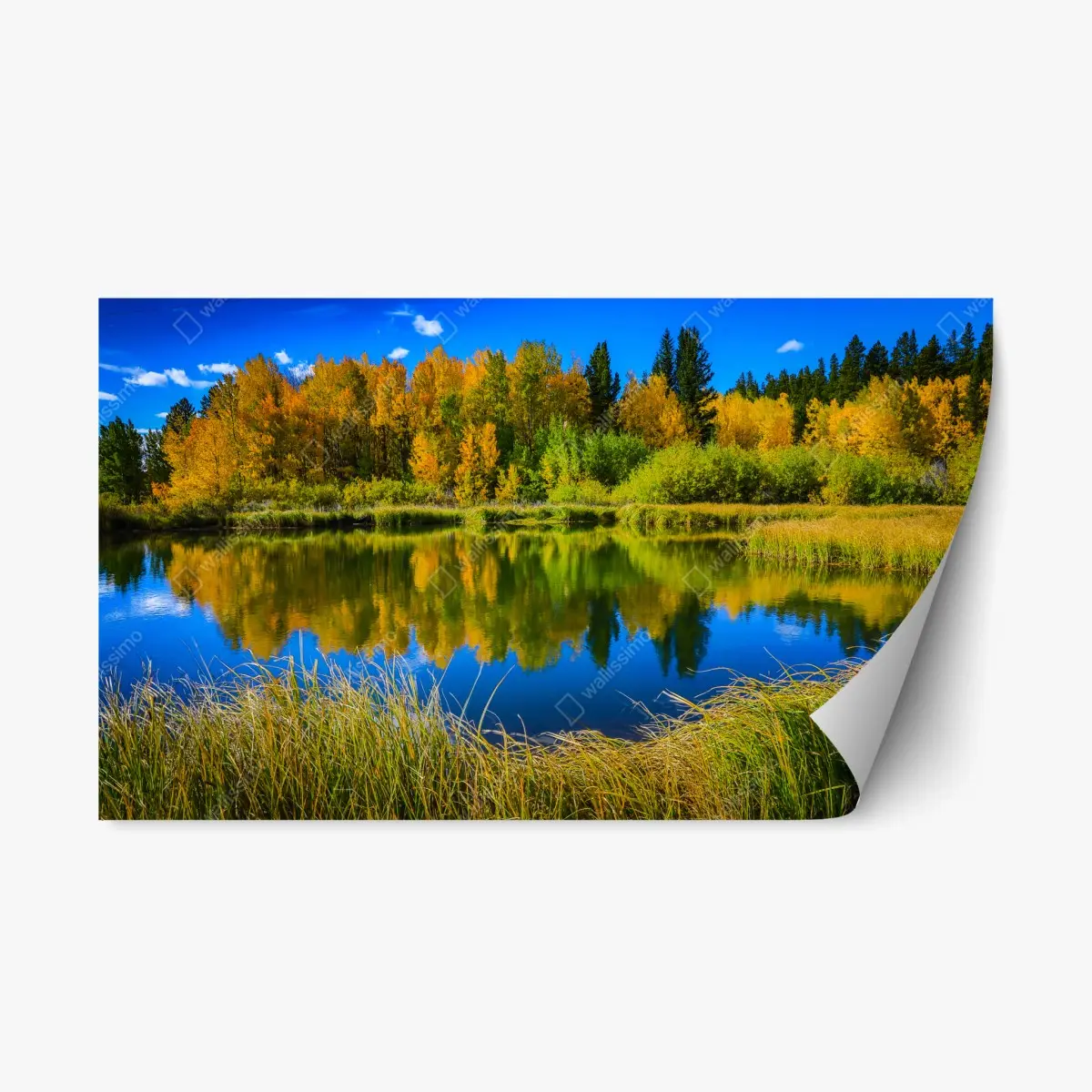 Adesivo riposizionabile riflessi d'autunno sul lago • Wallissimo®
