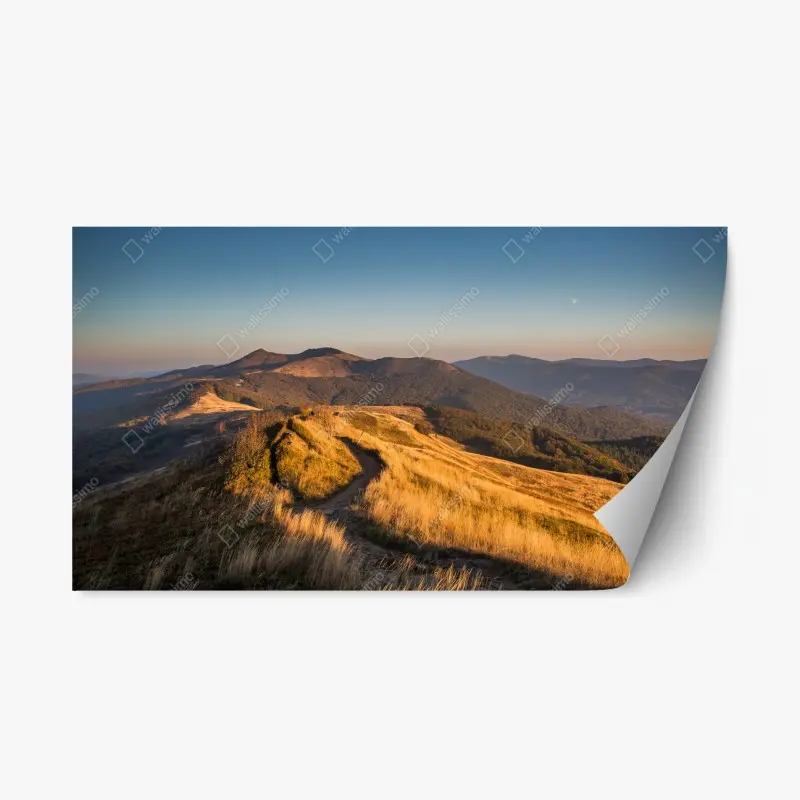 Adesivo riposizionabile sentiero dorato sulle colline al tramonto