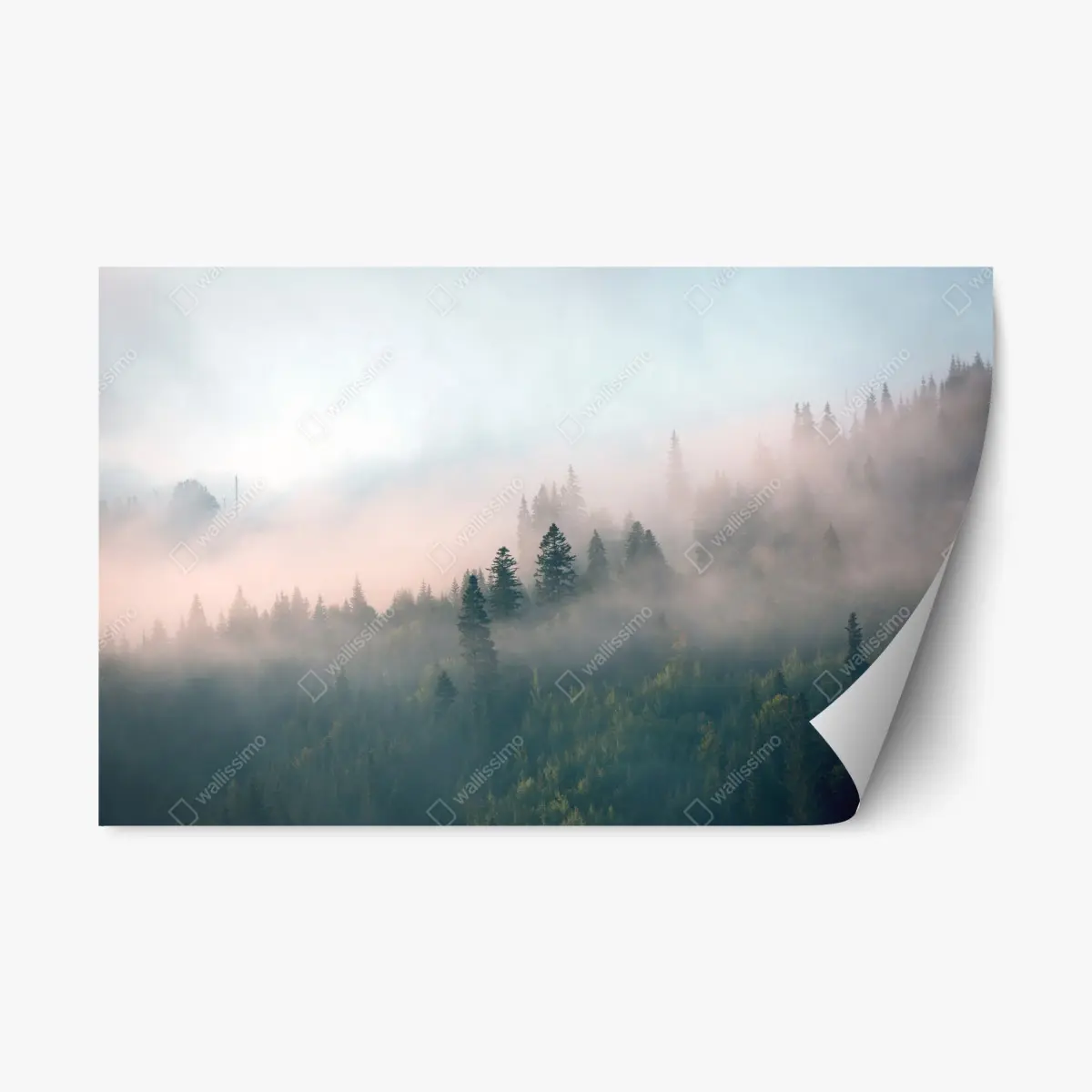 Adesivo riposizionabile alba nella foresta avvolta dalla nebbia • Wallissimo®