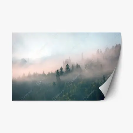 Adesivo riposizionabile alba nella foresta avvolta dalla nebbia • Wallissimo®