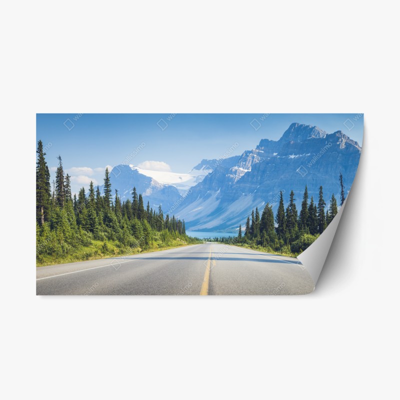 Adesivo riposizionabile strada verso le montagne innevate