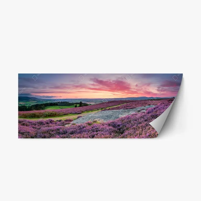 Adesivo riposizionabile tramonto sulla brughiera di Rothbury con vista sulla valle del Coquet