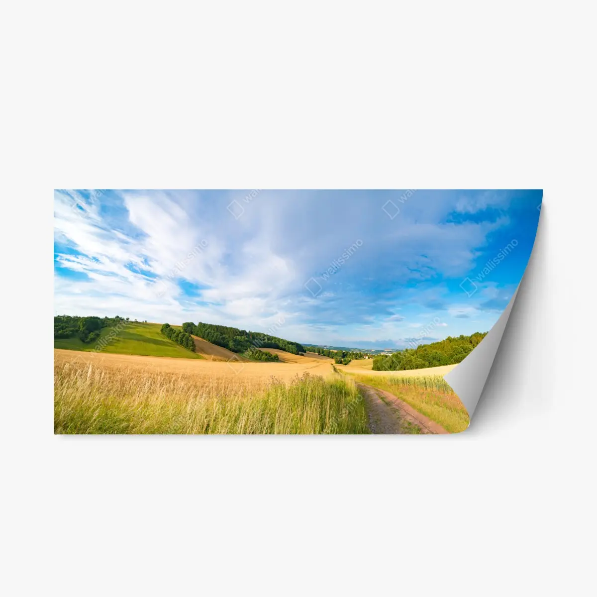Adesivo riposizionabile panorama dorato di grano e colline • Wallissimo®