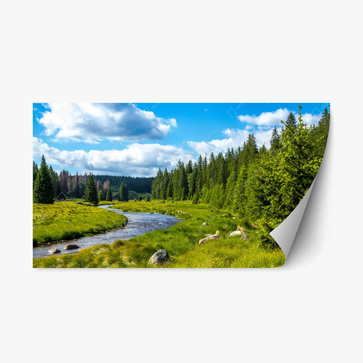 Adesivo riposizionabile paesaggio fluviale tra i pini • Wallissimo®
