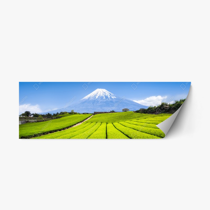 Adesivo riposizionabile paesaggio verde di Monte Fuji e campi di tè