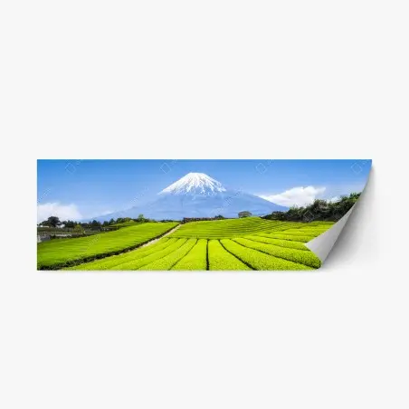 Adesivo riposizionabile paesaggio verde di Monte Fuji e campi di tè • Wallissimo®