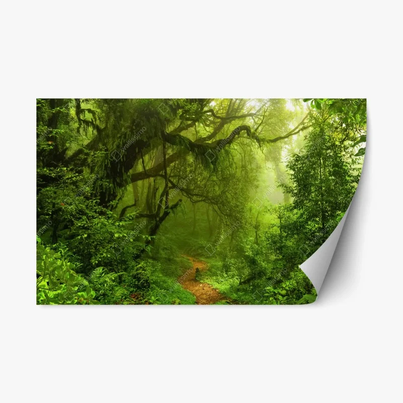 Adesivo riposizionabile sentiero incantato nella foresta pluviale
