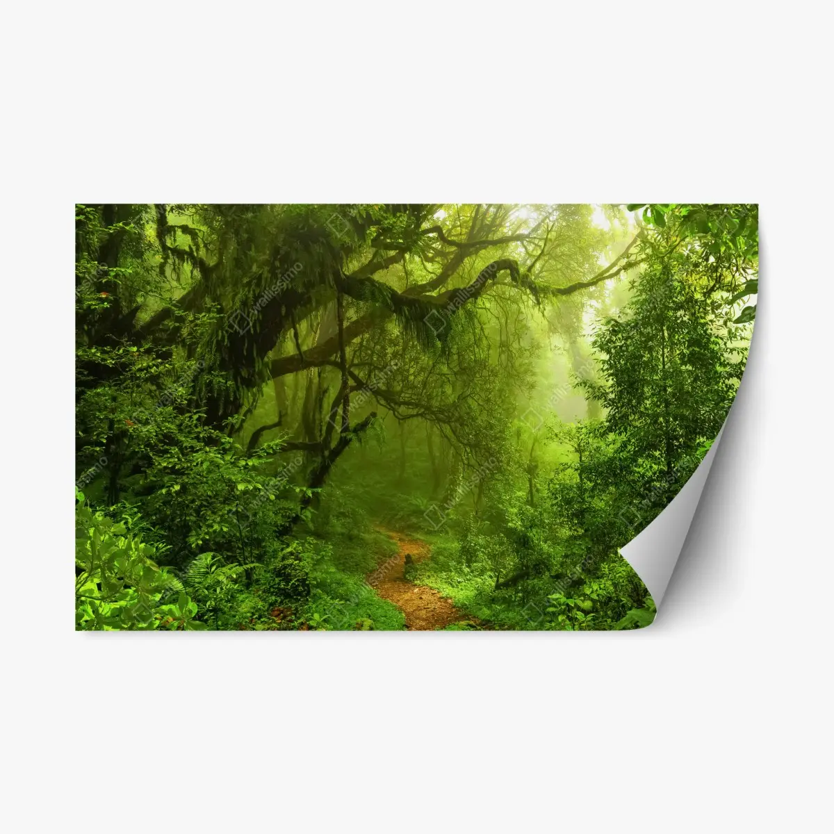Adesivo riposizionabile sentiero incantato nella foresta pluviale • Wallissimo®